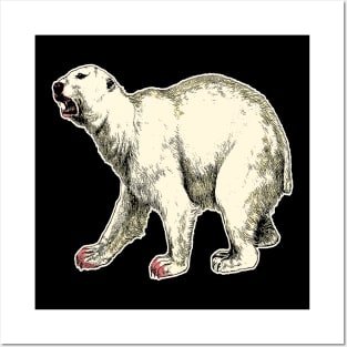 Arctic Polar Bear After Hunt Posters and Art